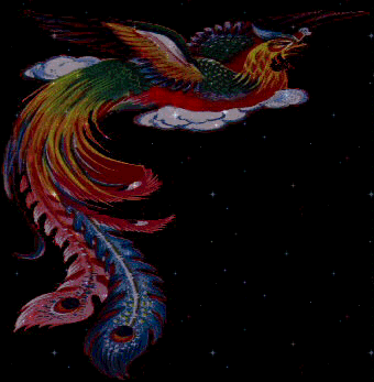 Phoenix: ����R : the Beauty